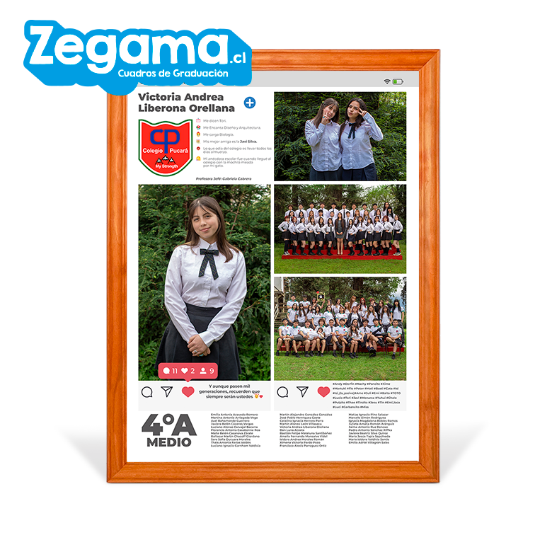 Cuadro Graduacion Estilo Insta