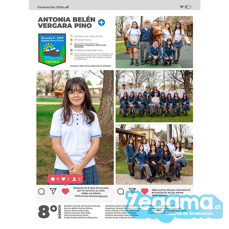 Cuadro Graduacion Estilo Insta