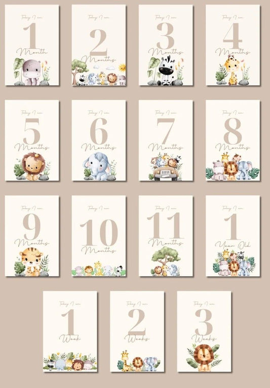 Tarjetas Mes a Mes