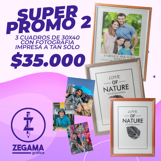 Promo Cuadros 30x40 cm