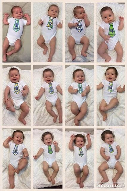 Set 12 Piluchos